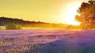 Bright Morning Piano Music for Relaxation, Calm Chords, Major Key Study Music Sunrise