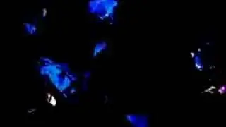 Stan Brakhage - Black Ice (1994)