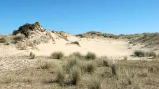 De Panne Westhoek Natuurreservaat 2012.wmv