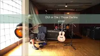 DUI or Die / Those Darlins　(cover)