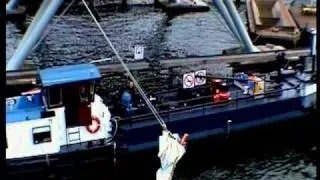 Sail 2010 Amsterdam 1