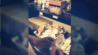 ATT4FUN 吉卜力 龍貓