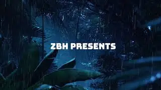 ZBH  - XD moments vol1