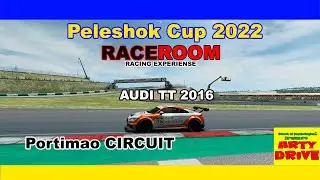 Чемпіонат   Пелешок CUP  AUDI TT 2016  -  Стріми Украінською  --  RaceROOM racing experience