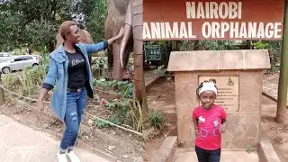 Nairobi Animal Orphanage and Safari Walk Tour #nature #whattodoinnairobi #kenyanyoutuber