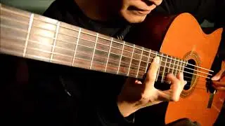The Brain Dance - Animals As Leaders (Intro) (Acoustic Cover)