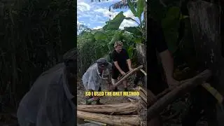 Peace offering for Peruvian Farmers!