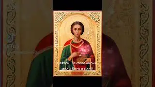 Моли Бога о нас!!!  #пантелеймон #молимсявместе  #дивеево