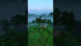 প্রাকৃতিক ও  মনোরম পরিবেশ#NatureLovers​#MotherNature​#BeautifulScenery#GreenEarth​