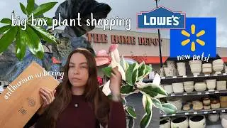 Покупка растений в большом супермаркете и распаковка антуриума :) | Home Depot, Lowe&rsquo;s, Walmart!