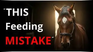 THE MOST COMMON FEEDING MISTAKE HORSE OWNERS MAKE — AND WHY HORSES CAN’T TELL US