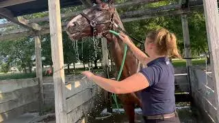 COTH Vlog Tuesday