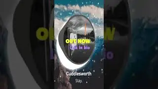 Cuddlesworth - Stay
