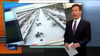 Farmers asked to report winter storm damage