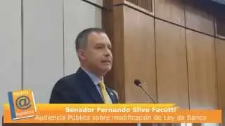 Senador Fernando Silva Facetti, Audiencia P&uacute;blica sobre modificaci&oacute;n de Ley de Bancos
