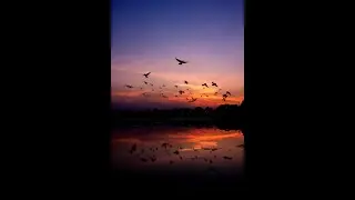 Birds At Horizon - Cinematic Instrumental Music | Abhay Barhate