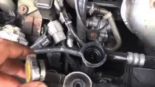 46303
