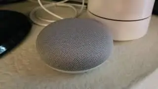 Ask Google Home A Question