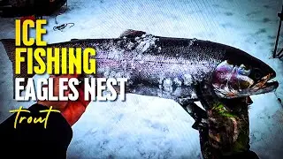 From Hook to Plate: Amazing Lake Fishing and Cooking in New Mexico!