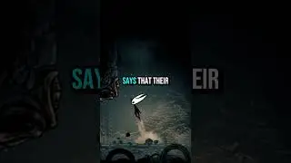 I CAN'T BELIEVE HORNET SAYS THIS IN SILKSONG 😭😭😭