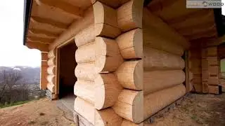 Projekt Feniks 10. Dom z p&oacute;ł bali. Gold Wood.