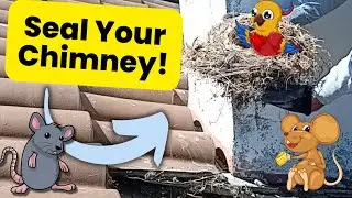 How to Seal your Chimney on a Tile Roof