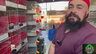 Por primera ves conocemos el Criadero Tejeda de Mi compa Isra
