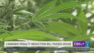 Cannabis penalty reduction bill passes in Texas House