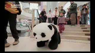 Quadruped robots performing parkour style challenges in shopping mall