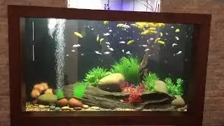 Glass vs concrete aquarium,B aqua kozhikode