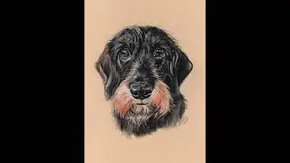 Tiermalerei, Tierportraits, handgezeichnet nach Ihrer Fotovorlage