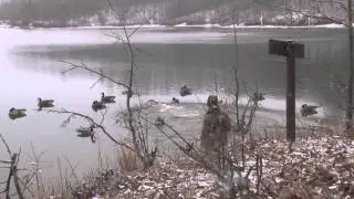 Indiana BIG water honker hunt with Stumblin' Drake