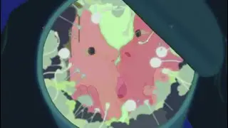MICHELLE - EXPIRATION DATE [Official Visualizer]