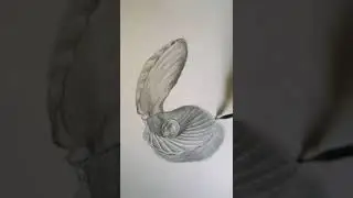 how to draw easy pearl in a shell | Spandan Art