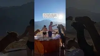 A llama hot tub party?! The BEST hotel stay #travel #shorts
