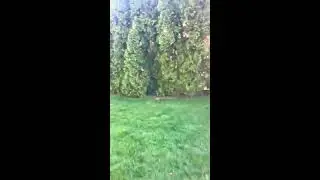Fresh spring air
