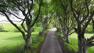 Dark Hedges, Northern Ireland - 4K