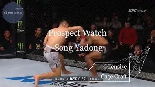 Prospect Watch - Song Yadong