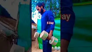 Dyse orkod video  5 Day