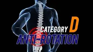 Back Rehab Protocol - Anti-Rotation | Anti-Lateral Flexion | Core Stability