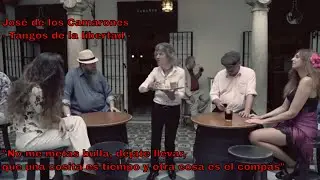 Tangos de la libertad (No me metas bulla) - JOSÉ DE LOS CAMARONES -  (Videoclip Oficial)