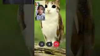 bruh