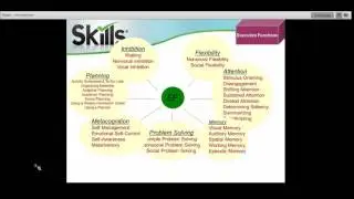 Skills® The Online Autism Solution 1 hr webinar for professionals