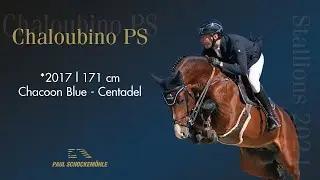 Chaloubino PS (ENG)