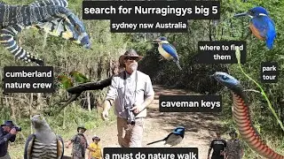 Sydney wildlife/birds.Top parks.Nurragingy @next-stop..who-knows-what #wildlife #snakes #birds