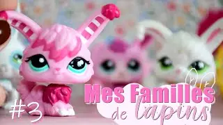 Mes Familles LAPINS - PETSHOP  [Partie 3]