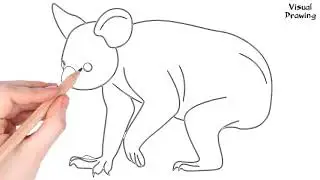 Koala Drawing Easy, How To Draw a Koala For Beginners Step By Step