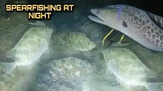 Spearfishing at Night Hunting Fresh Seafoods Palawan Philippines Episode I