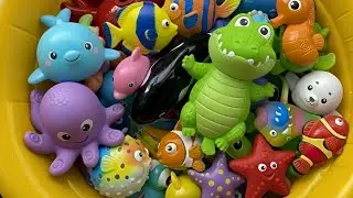 Learn Ocean Animal Names for Kids! 🐠🐳🐙 Shark Whale Octopus Clownfish | Sea Animal Toys for Toddlers