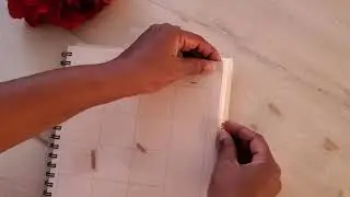 Removable Planner Tabs